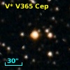 V* V365 Cep
