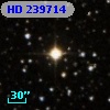 HD 239714