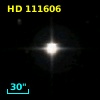 HD 111606