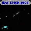 IRAS 12460+0923