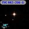 TYC  882-256-1
