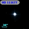 HD 111677