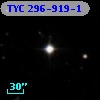 TYC  296-919-1