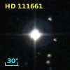 HD 111661