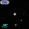 TYC  294-118-1
