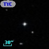 TYC  294-339-1