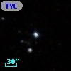 TYC  294-215-1