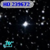 HD 239672