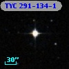 TYC  291-134-1