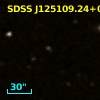 WD 1248+009
