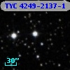 TYC 4249-2137-1