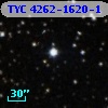 TYC 4262-1620-1