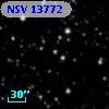 NSV 13772