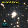 V* V338 Cep