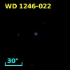 WD 1246-022