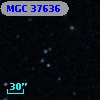 MGC 37636