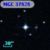 MGC 37828
