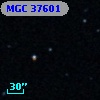 MGC 37601