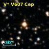 V* V607 Cep