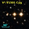 V* V1501 Cyg