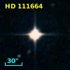 HD 111664
