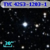 TYC 4253-1203-1