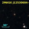 2MASX J12530604-0650574