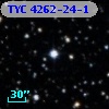 TYC 4262-24-1