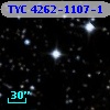 TYC 4262-1107-1