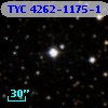 TYC 4262-1175-1