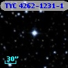 TYC 4262-1231-1