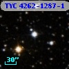 TYC 4262-1287-1