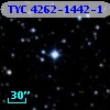 TYC 4262-1442-1
