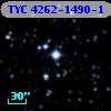 TYC 4262-1490-1