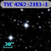 TYC 4262-2183-1