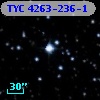 TYC 4263-236-1