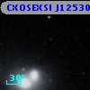 CXOSEXSI J125302.9-091057