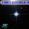 CXOCY J125305.0-091339