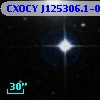 CXOCY J125306.1-091344