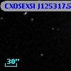 CXOSEXSI J125317.5-091223