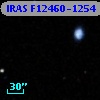IRAS F12460-1254