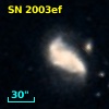 SN 2003ef