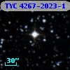 TYC 4267-2023-1