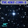 TYC 4267-2388-1