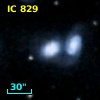 IC  829