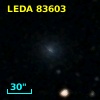 LEDA   83603