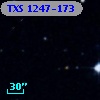 TXS 1247-173