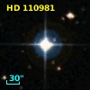 HD 110981