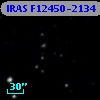 IRAS F12450-2134