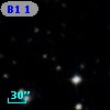 B1 1245-21